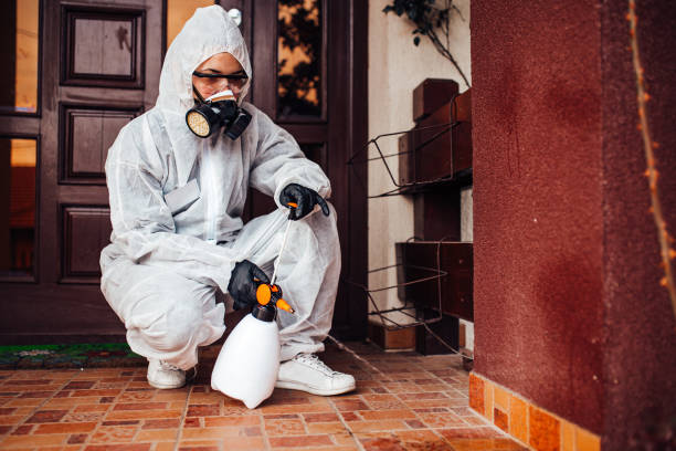Reliable Ant Control contractor in Citrus Park, FL by Nex Pest Control