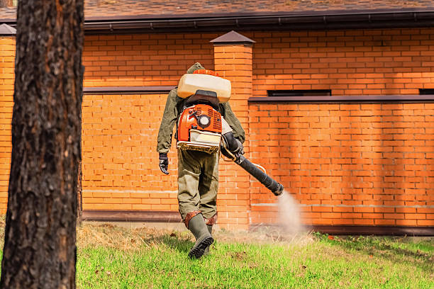 Trusted Mosquito Control service in Citrus Park, FL - Nex Pest Control